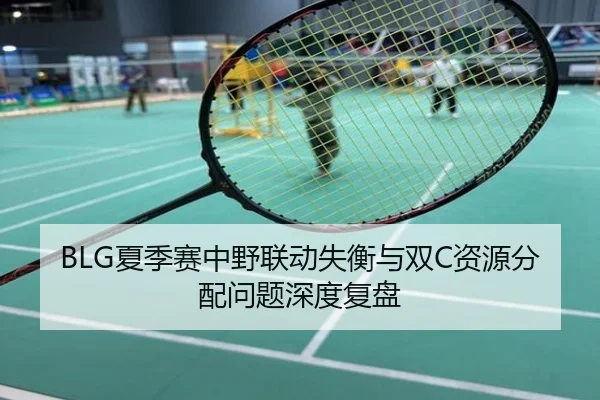 BLG夏季赛中野联动失衡与双C资源分配问题深度复盘